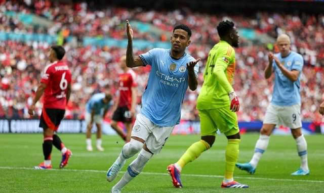 专家谈曼城进球争议