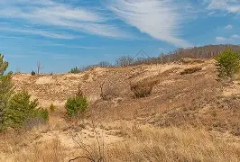 包含印第安纳步行者迎意大利杯关键赛，赛后绝杀压哨，球迷炸锅，医务组通报恢复的词条